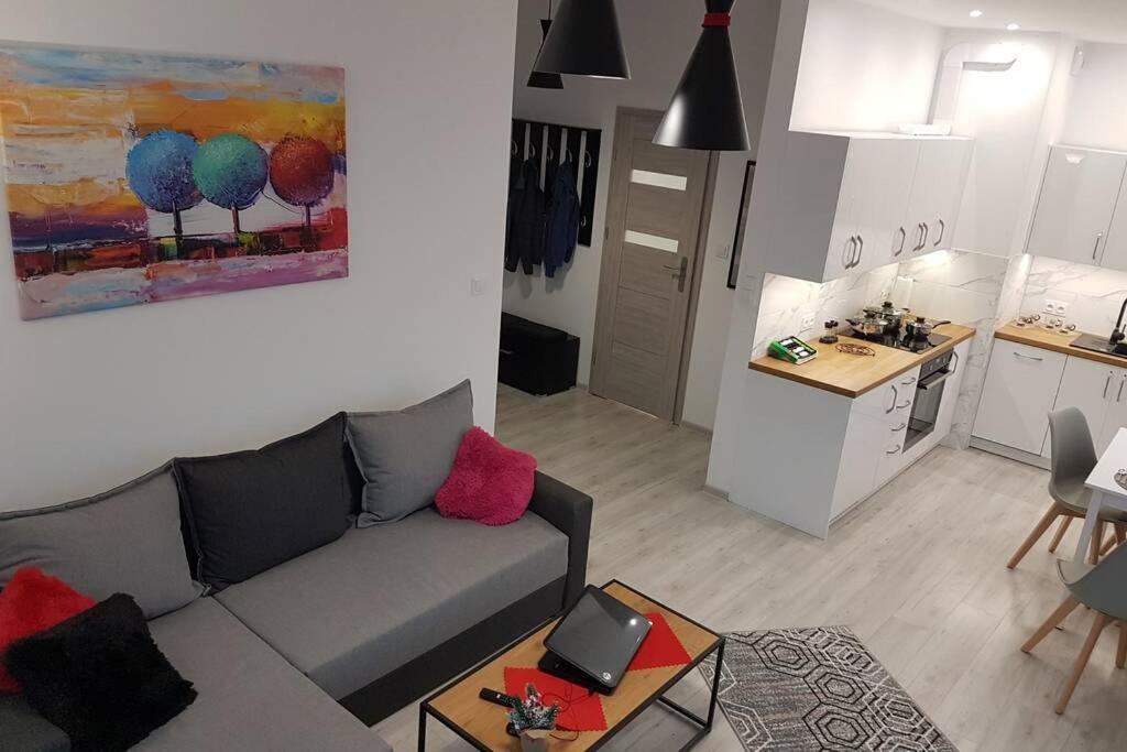 ביילסקו-ביאלה Komfortowy Nowoczesny Apartament Kustronia Z Garazem Balkonem Wanna מראה חיצוני תמונה